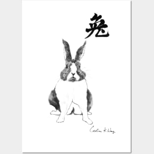 Zodiac- Rabbit Posters and Art